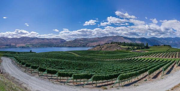 Discover the Beauty of Lake Country Wine Tours