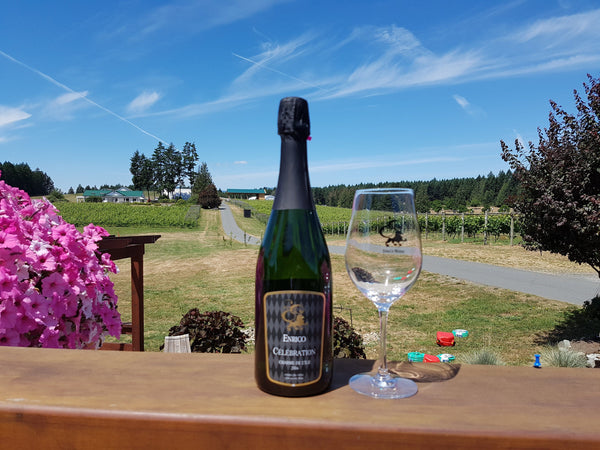 Time to Celebrate – Enrico Winery