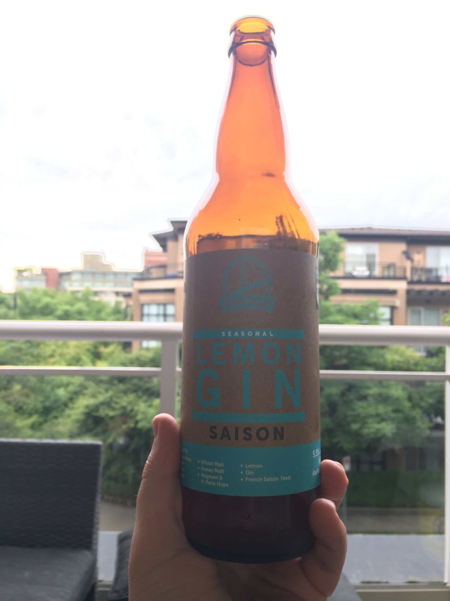 Bridge Brewing | Lemon Gin Saison