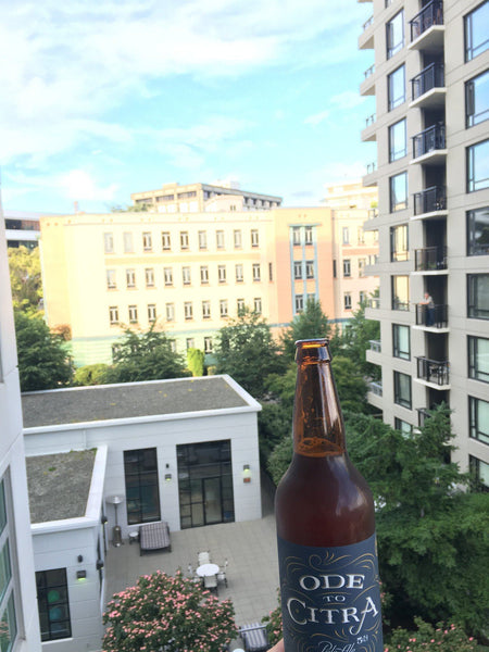 Powell Street | Ode To Citra Pale Ale