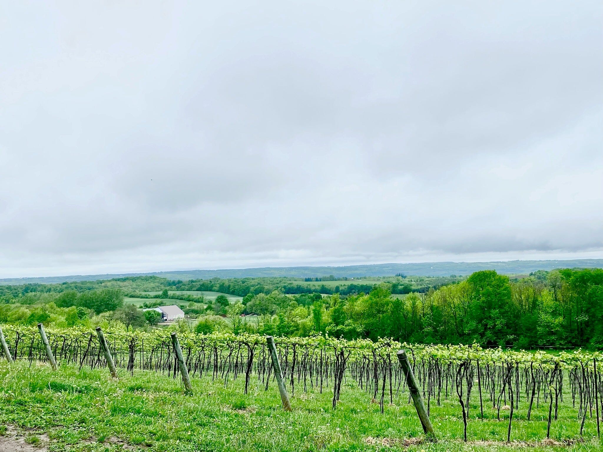 Sip and Savour: Exploring the Amazing Wine Culture of Niagara-on-the-Lake