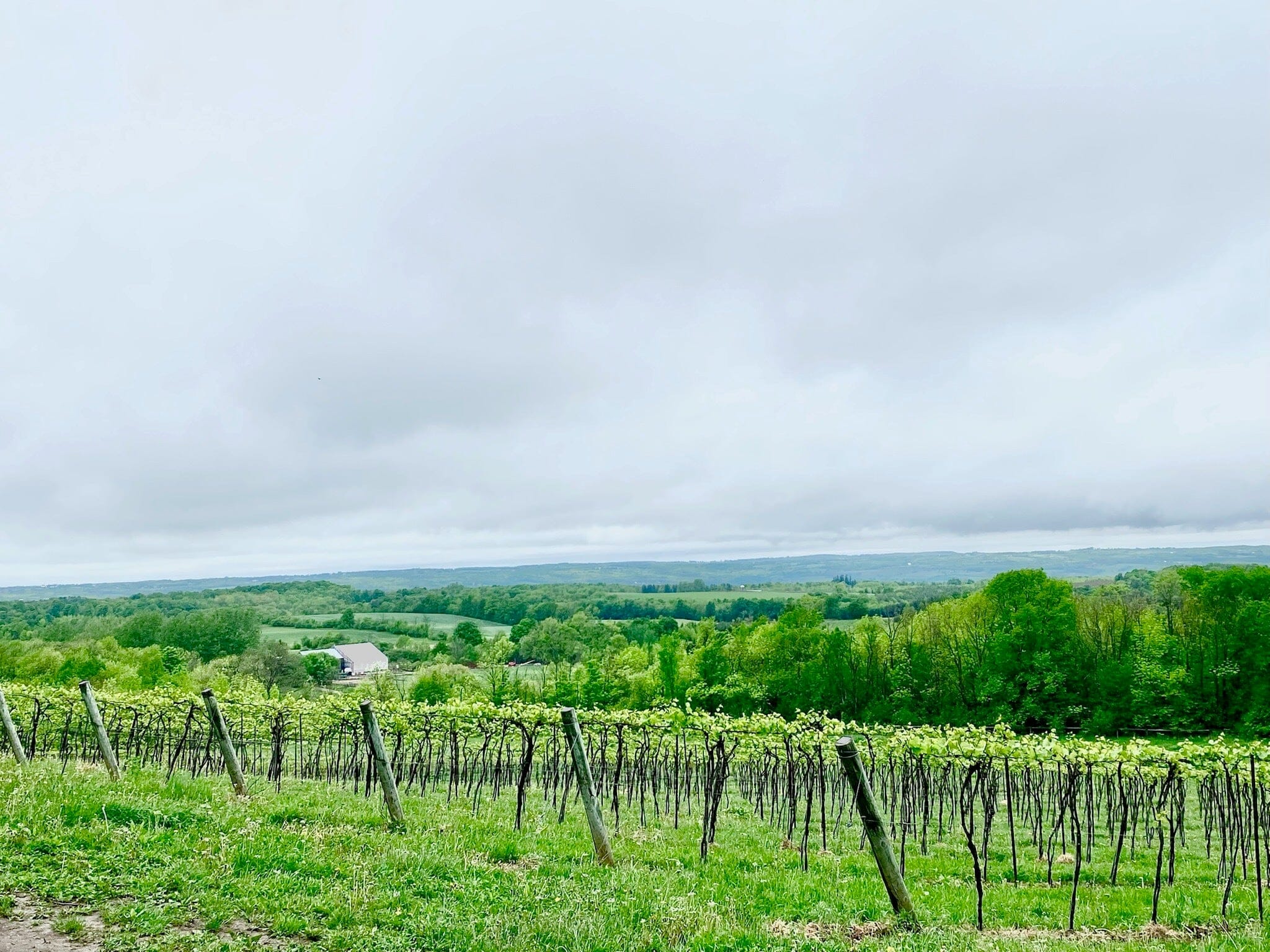 Sip and Savour: Exploring the Amazing Wine Culture of Niagara-on-the-Lake