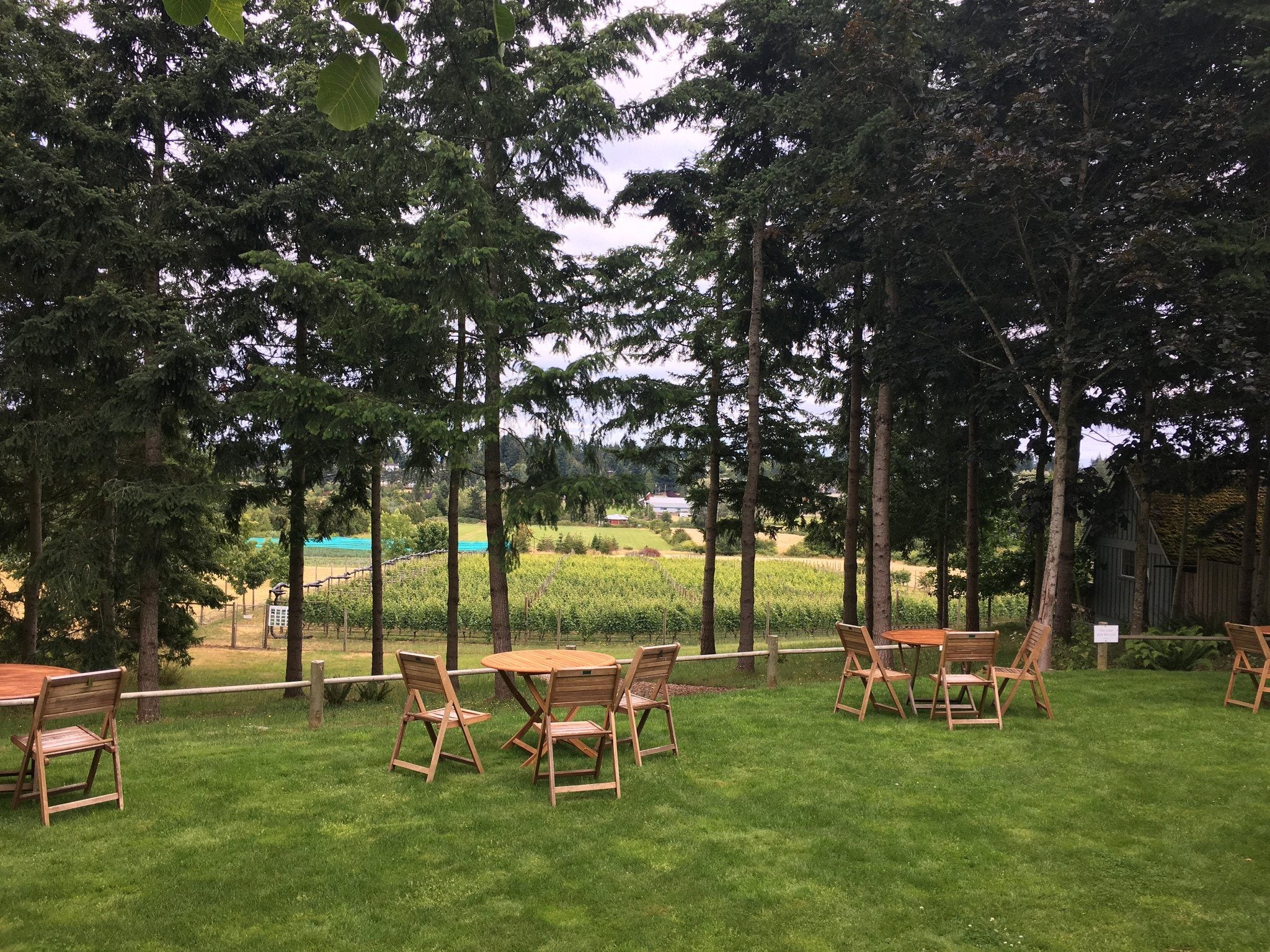 Victoria Bachelorette Party Ideas - Saanich Peninsula Wine Tour