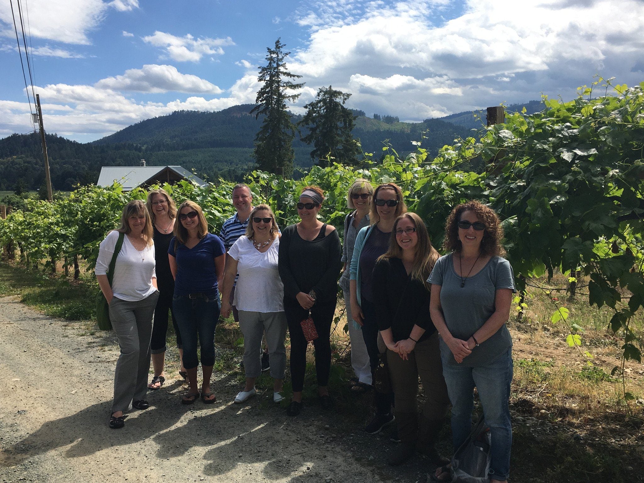 Victoria to Cowichan Wine Tour