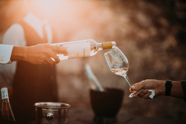 Vancouver Wine Tours: The Complete Guide to Tasting Your Way Through BC Wine Country