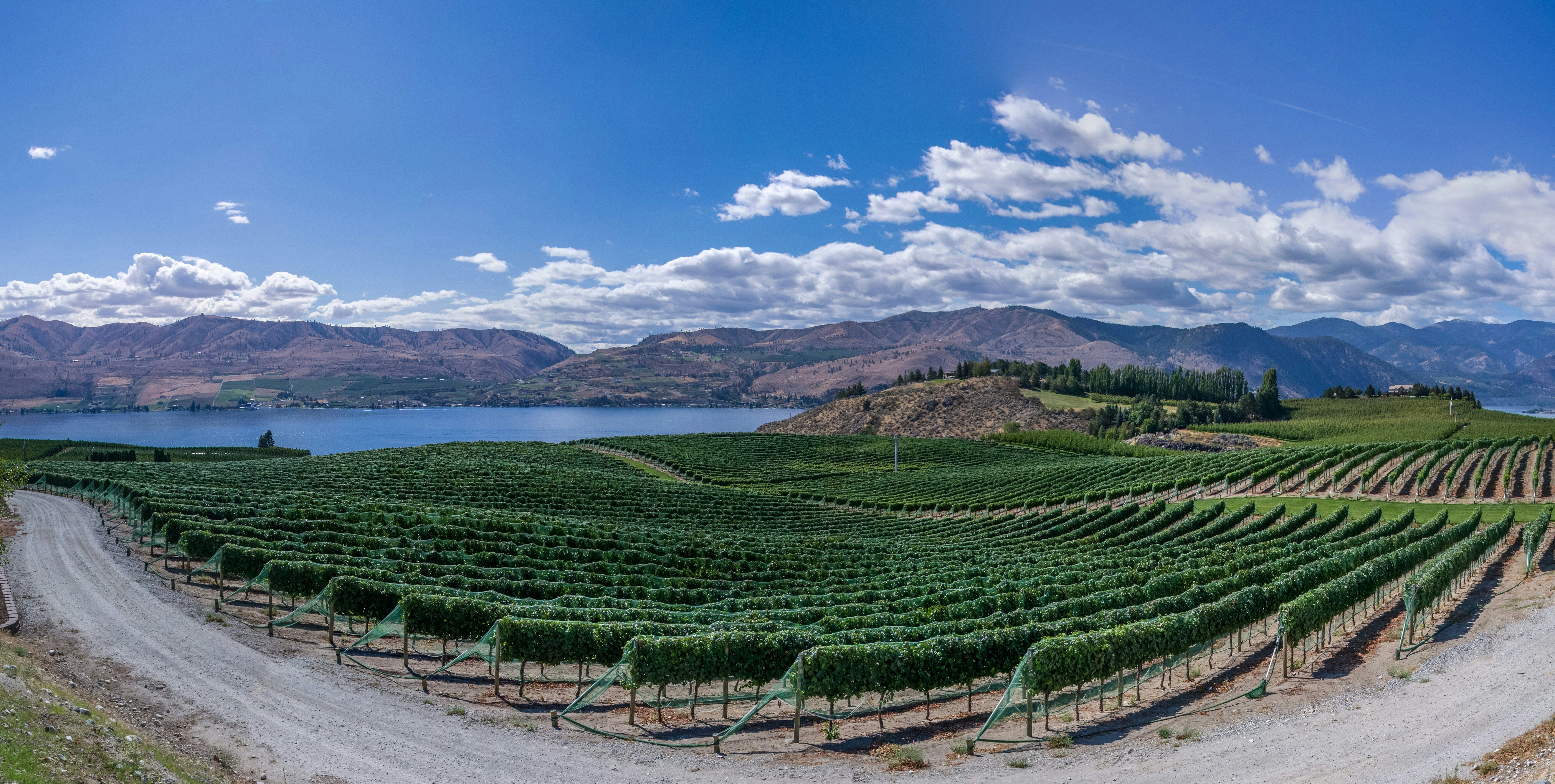 Discover the Beauty of Lake Country Wine Tours