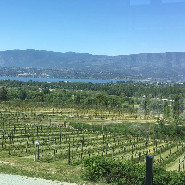 West Kelowna View