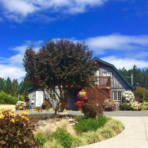 Cowichan Valley Wine Tours