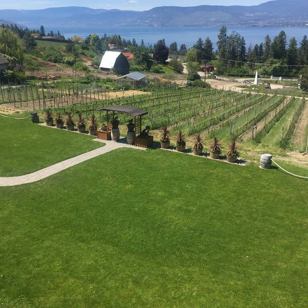 Naramata Vineyard 