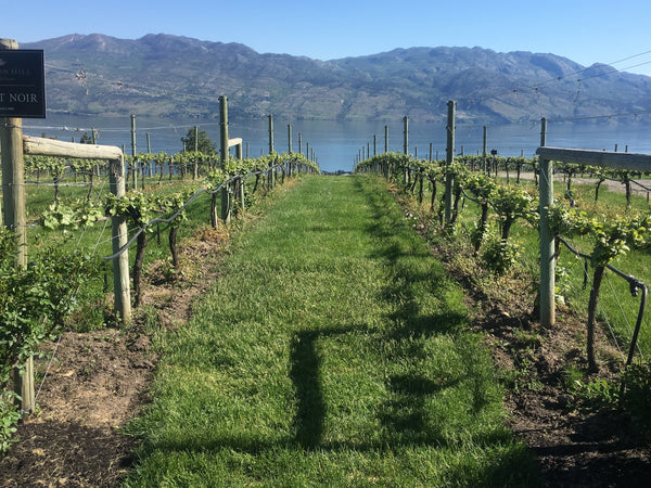 Naramata Wine Tours