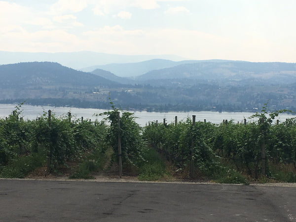 Naramata Wineries