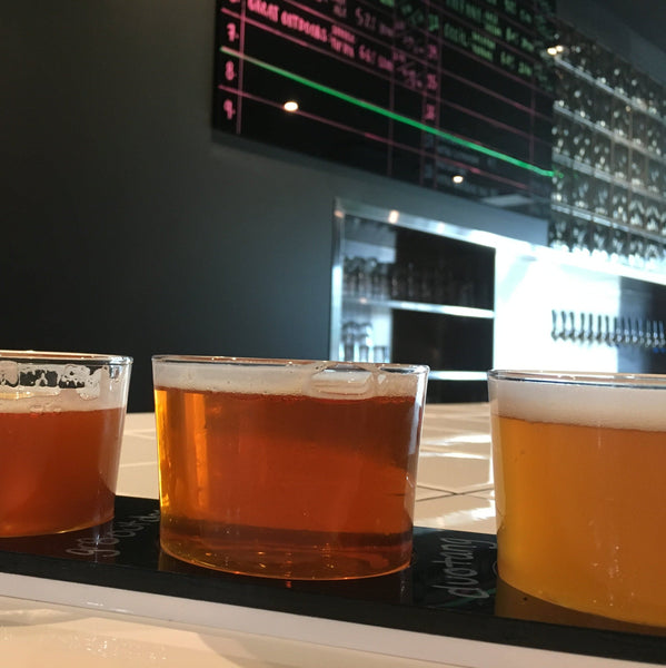 Eight Eight Beer Tour Flight