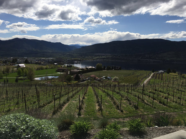 Naramata Wineries